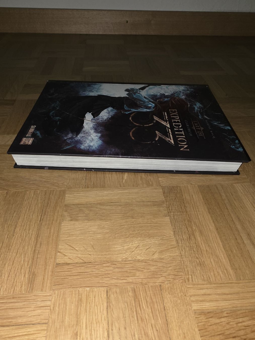 Bücher: Artbook Clair Obscur Expedition 33 - Français – Neu (gemäss Beschreibung) aus Genève von gpu_5pw 2