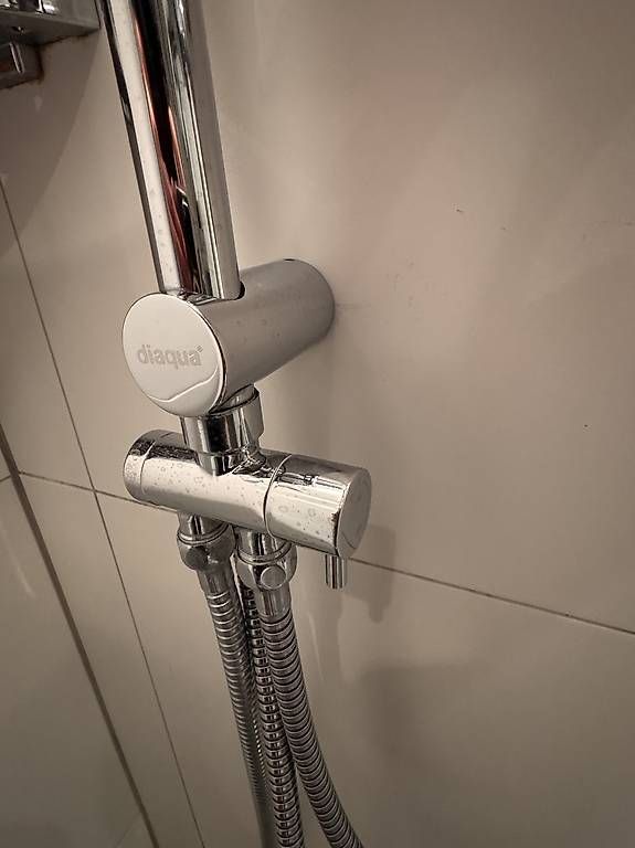 Docce: diaqua Regendusche / Duschsystem Janus – Usato da Kreuzlingen venduto da adhpower0709 2