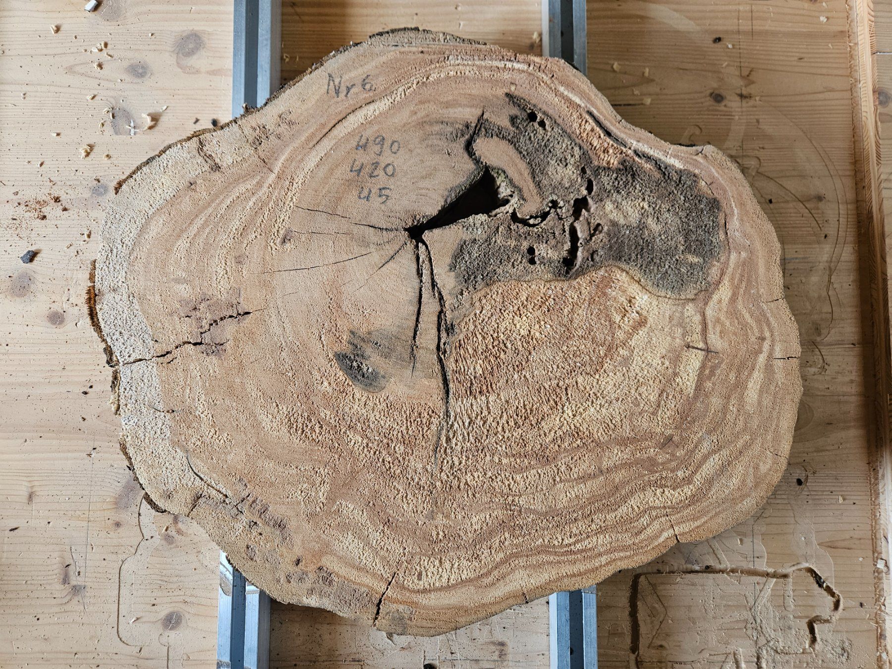 Articles en bois: Baumscheibe Kirschbaum Holz – Neuf (Voir description) à Schangnau par egli6.2