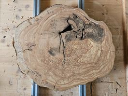 Baumscheibe Kirschbaum Holz