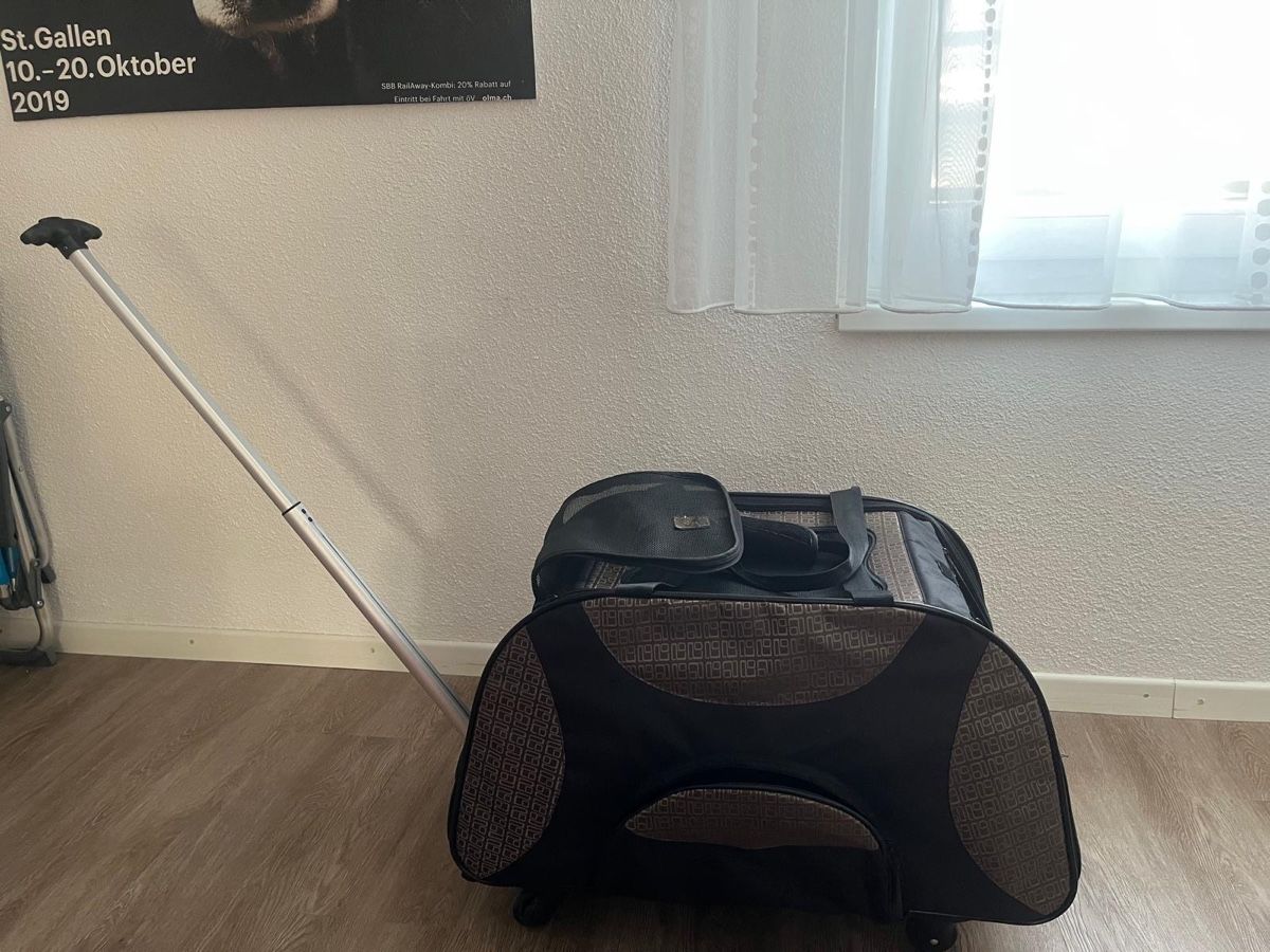 Borse: Transporttasche mit Rollen für Katzen oder kl. Hunde – Usato da St. Gallen venduto da Valemgw 3