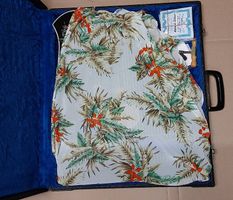 Neuwertige 6- Akkordzither von Hopf, spielbereit
