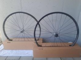 Newmen Advanced SL X.A.25 - 29"Carbon Laufradsatz, fabrikneu
