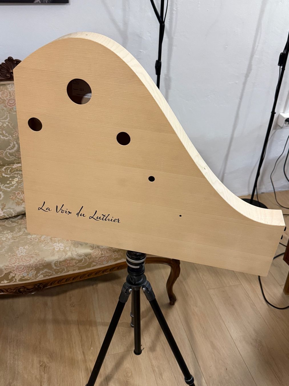 Strumenti musicali: La Voix du Luthier ONDE – Usato da Delémont venduto da cpop