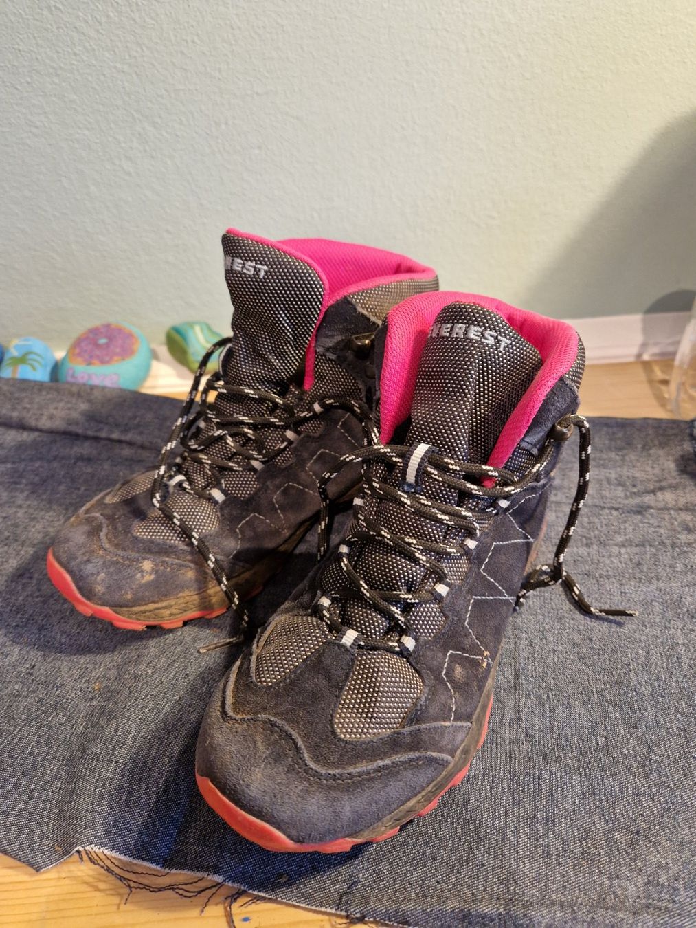Everest Herrenschuhe: Everest Wanderschuhe, Grösse 35 – Gebraucht aus Boniswil von Cfischer0
