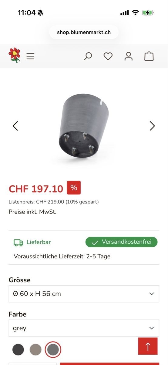 Piante & sementi: Grosse Hortensie / Topf mit Rollen – Usato da Zürich venduto da seb_8rsb 6