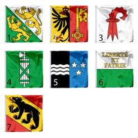 🎯 Schweizer Kantons Flaggen 90x90cm KANTÖNLIGEIST