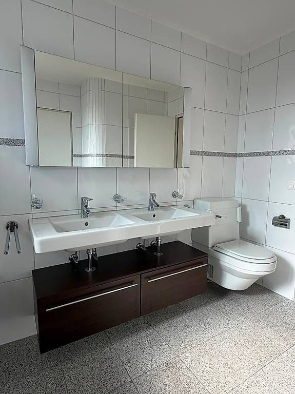 Schneider Armadietti a specchio: Spiegelschrank, Lavabo, Unterbau – Usato da Olten venduto da martibae