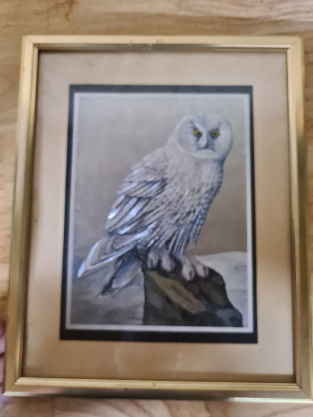Posters & Illustrations: Eulenbild, Bild – D'occasion à Waldkirch par Hypertenuse 1