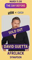 2 billets David Guetta – Venoge Festival  11.08.2026