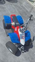 Paw Patrol Quad, Razor, Elektro, Kinderquad,