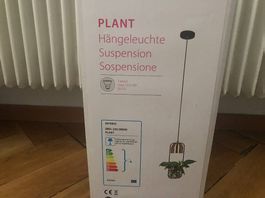 Pflanzen Hängeleuchte