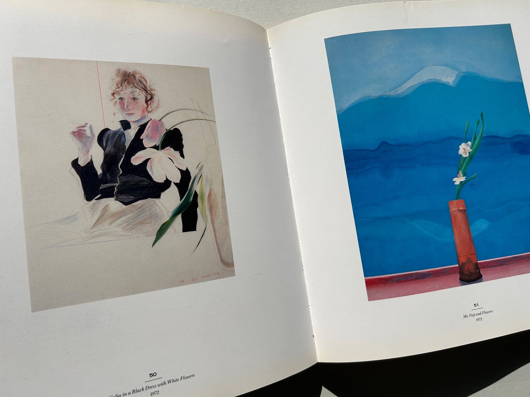 Libri: David Hockney: A Retrospective Art Book - Excellent Cond. – Usato da Zürich venduto da Coffeetable88 5