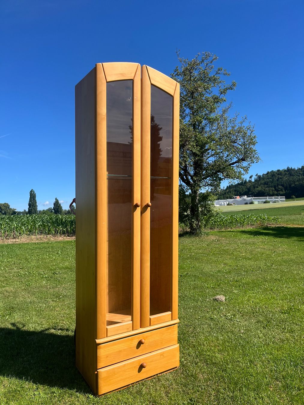 Vetrine: Vitrine 2 Türig mit Lampe ohne Kabel – Usato da Allmendingen b. BE venduto da juair 2
