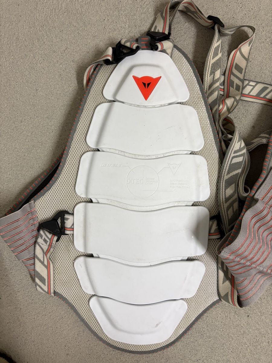 Dainese Protections: Dainese Rückenpanzer – D'occasion à Embrach par ale_v5qn