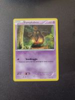 Pumpkaboo 56/146 Pokémon XY Base Set 2014 (IT) ab 1.-