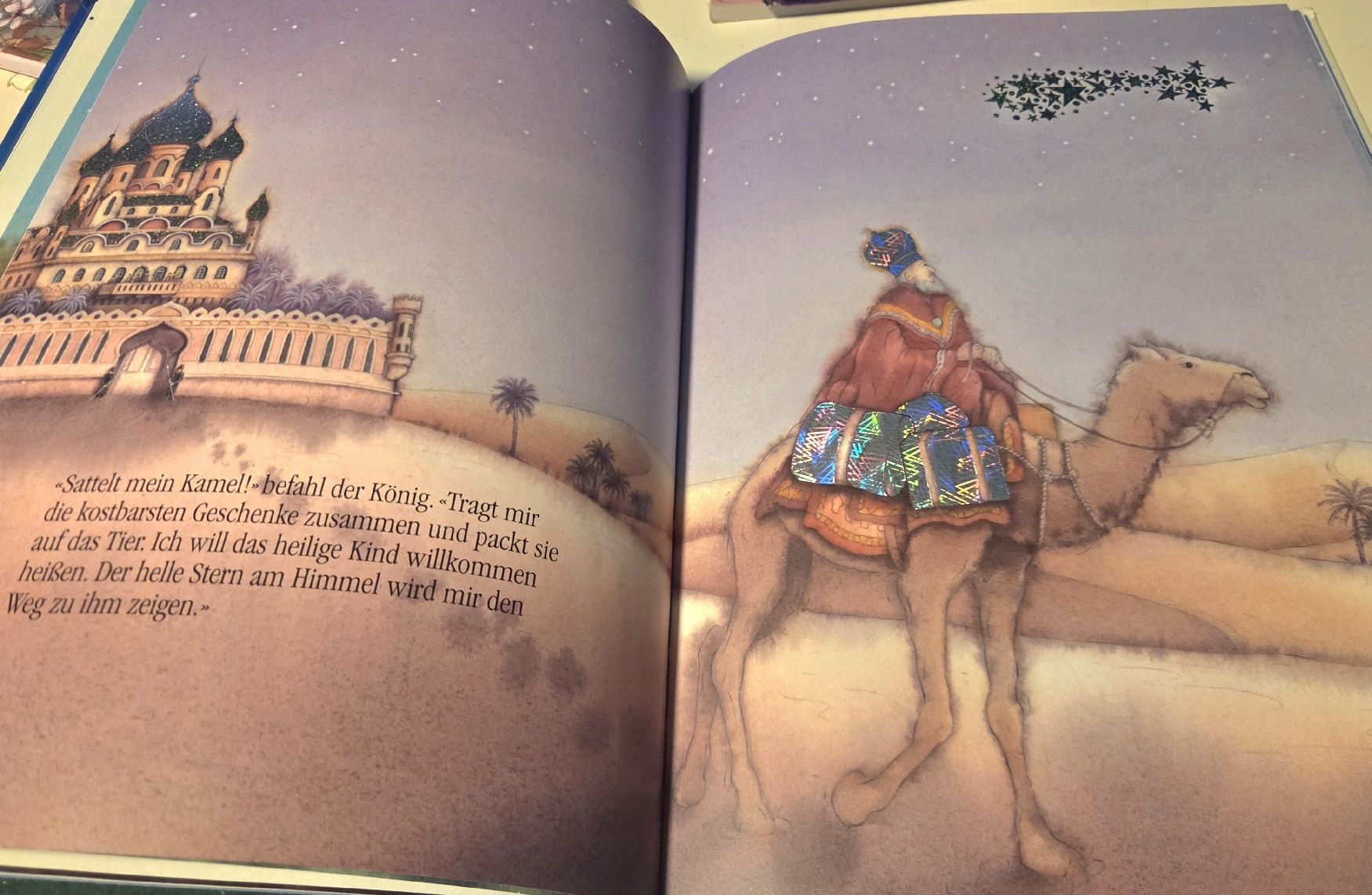 Libri: Erzählbuch Der Weihnachtsstern – Usato da Wetzikon ZH venduto da strubeli444 2