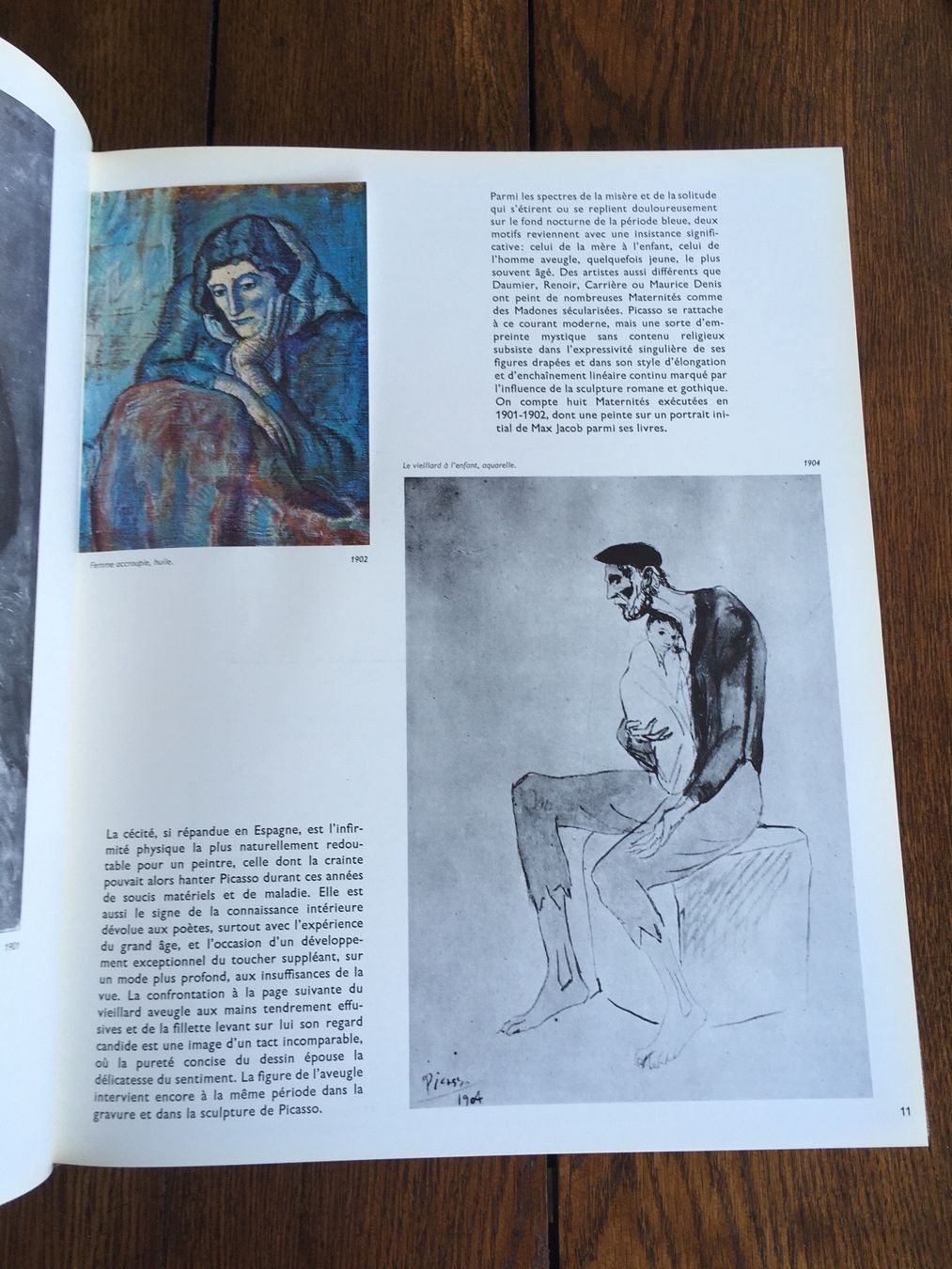 Libri: Picasso - Métamorphoses et unité – Usato da Basel venduto da Peter_schlemihl 7