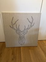 Hirsch Bild