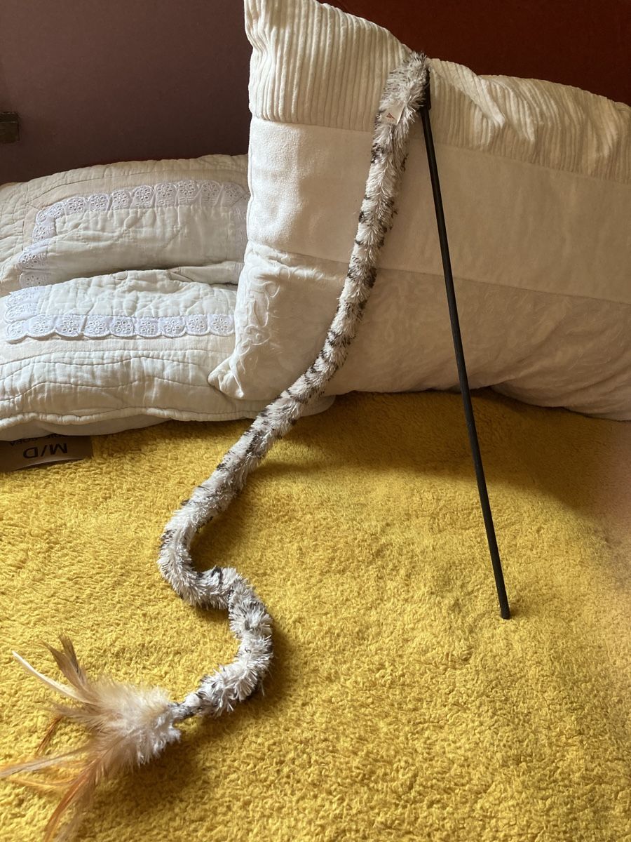 Giocattoli: Jeu pour chat – Usato da Ardon venduto da hel_2sxp