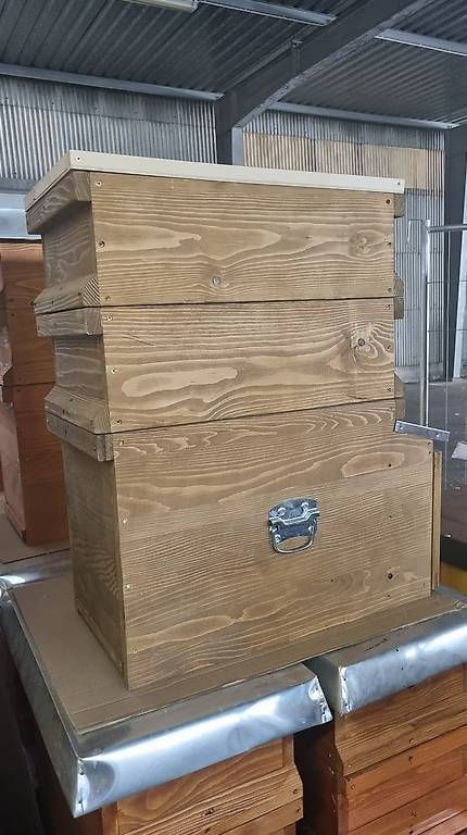 Ruchers: Bienenbeute CH Magazin – D'occasion à Oberentfelden par Lukas887