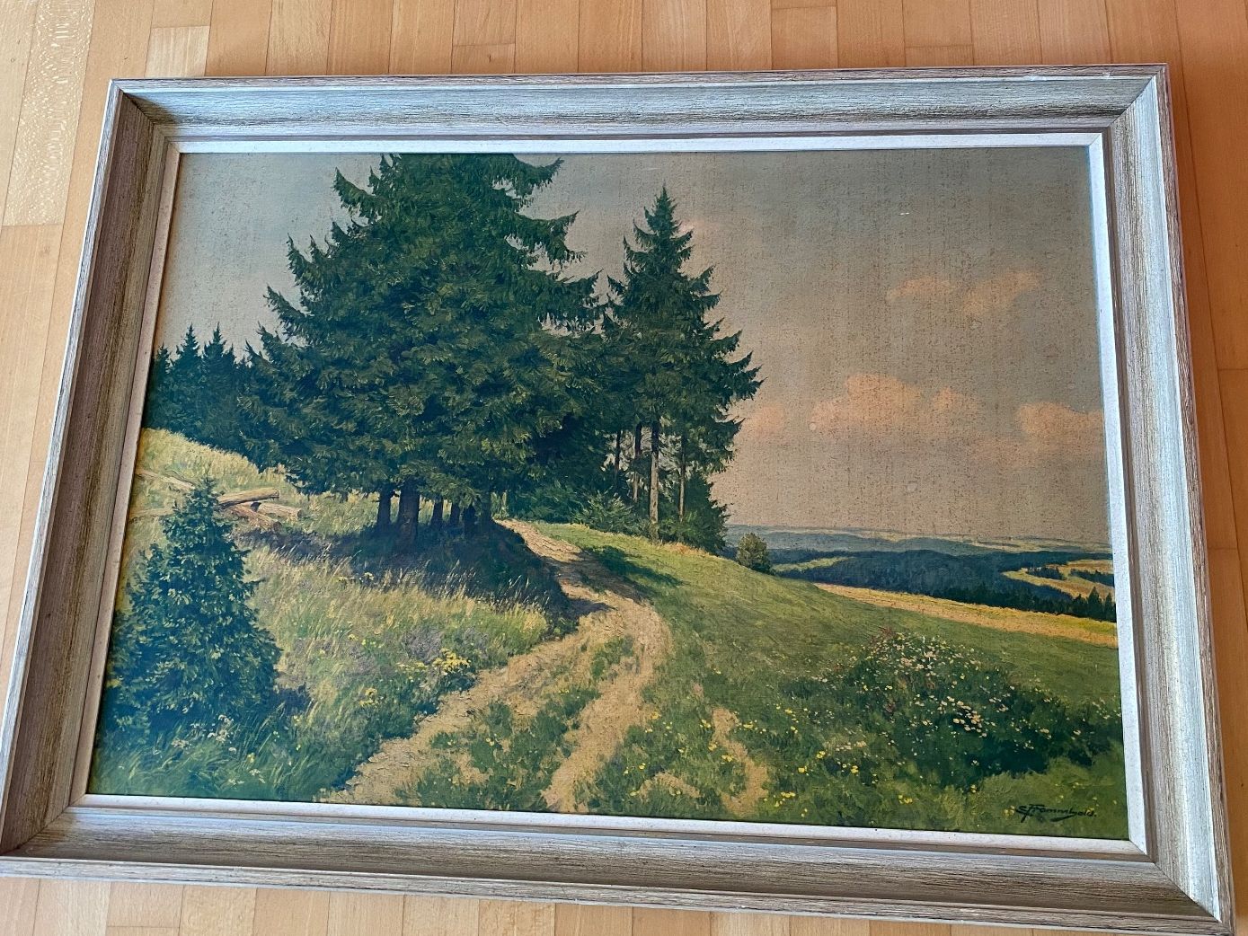 Cornici: Bilderrahmen (77x105 cm) mit Landschaftsbild – Usato da Wallisellen venduto da skorpion-11