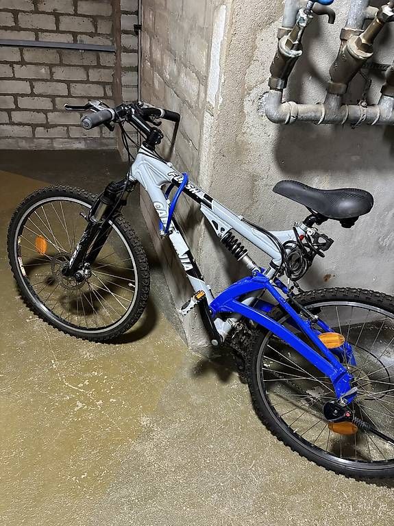 Biciclette: Velo Damen – Usato da Dulliken venduto da cag_fy79 3