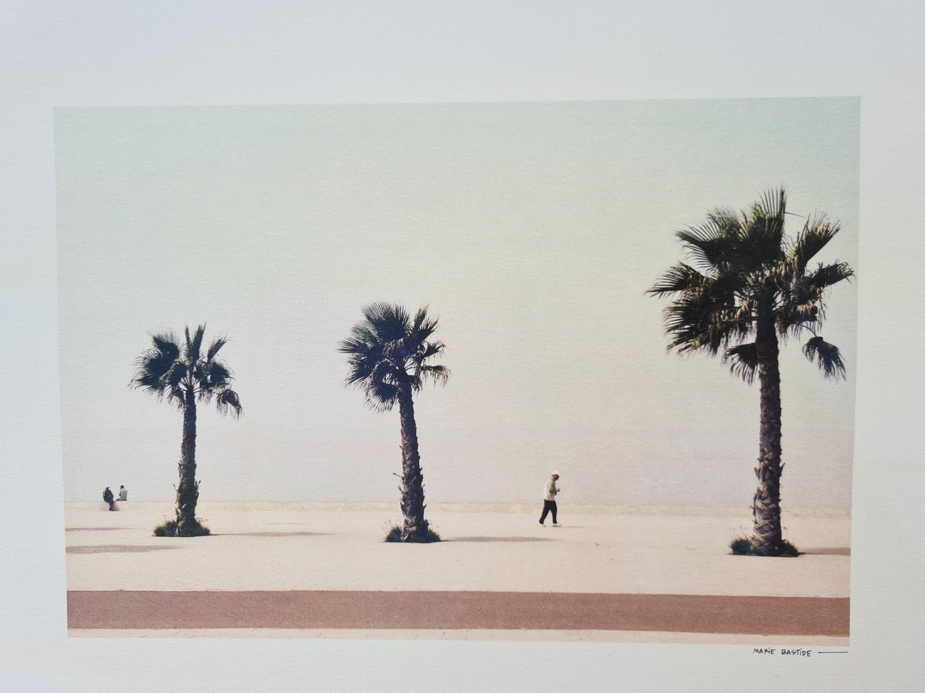 Foto & Immagini: Bild: Foto Marokko "Palmen" – Nuovo (secondo la descrizione) da Romanshorn venduto da Rachacha 3