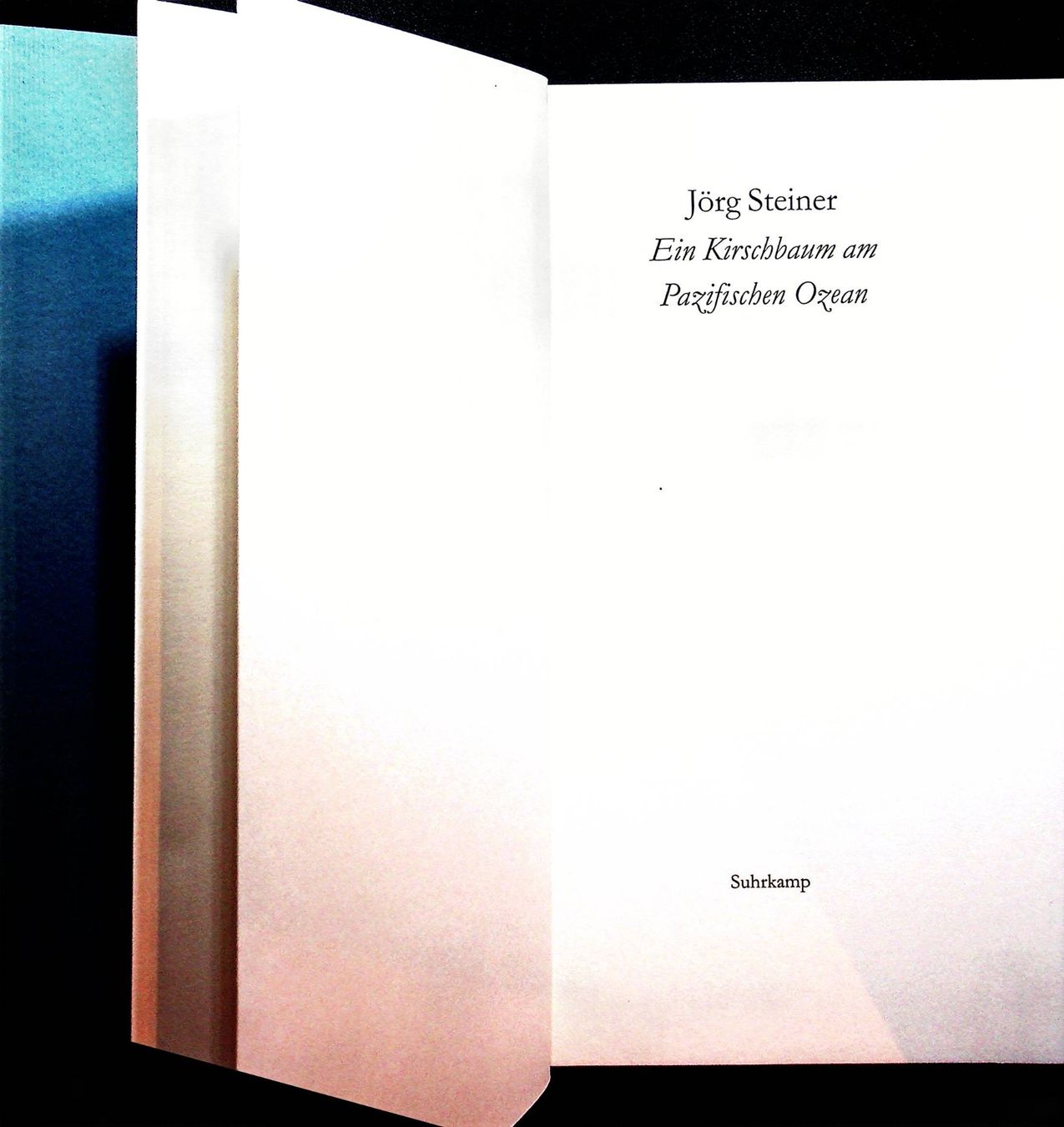 Bücher: Jörg Steiner Ein Kirschbaum am Pazifischen Ozean – Gebraucht aus Reitnau von Zaomir 1
