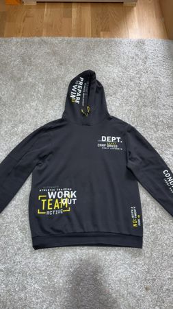 Camp David Hoodie