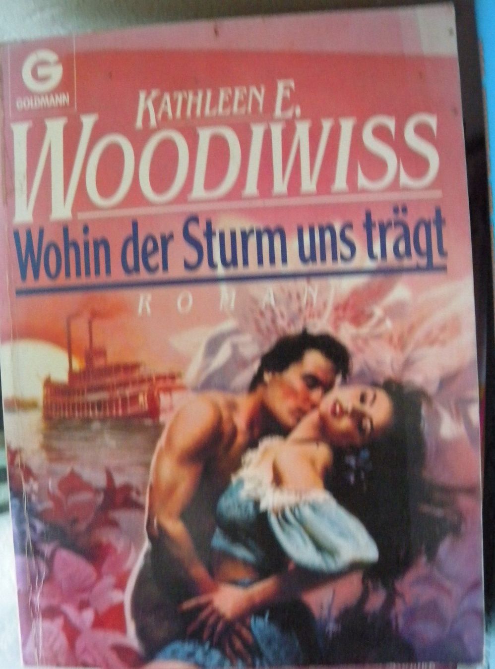 Libri: wohin der sturm uns trägt – Usato da Hauenstein venduto da Danbach