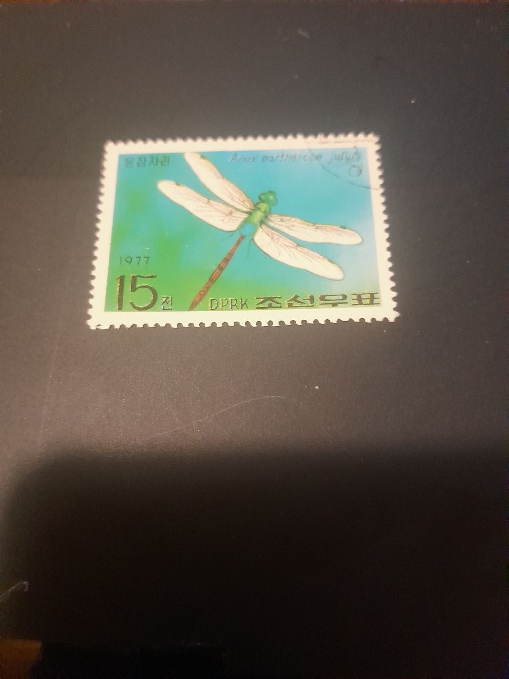 Tutti i francobolli: Timbre rare Corée du Nord 1977 - Libellule, parfait! – Usato da Marly venduto da globetrotter1723