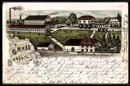 Lithographie Basel, Schoren-Anstalt aus der Vogelschau mit P