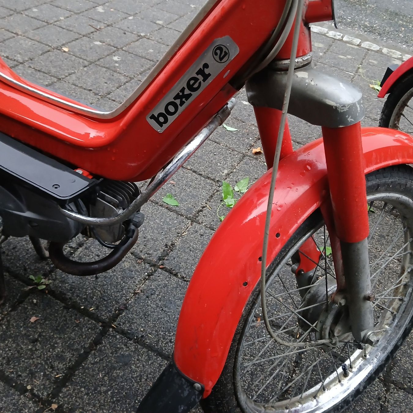 Piaggio Ciclomotori: Mofa Piaggio Boxer 2 mit Ausweis – Usato da Balsthal venduto da redcarpet 3