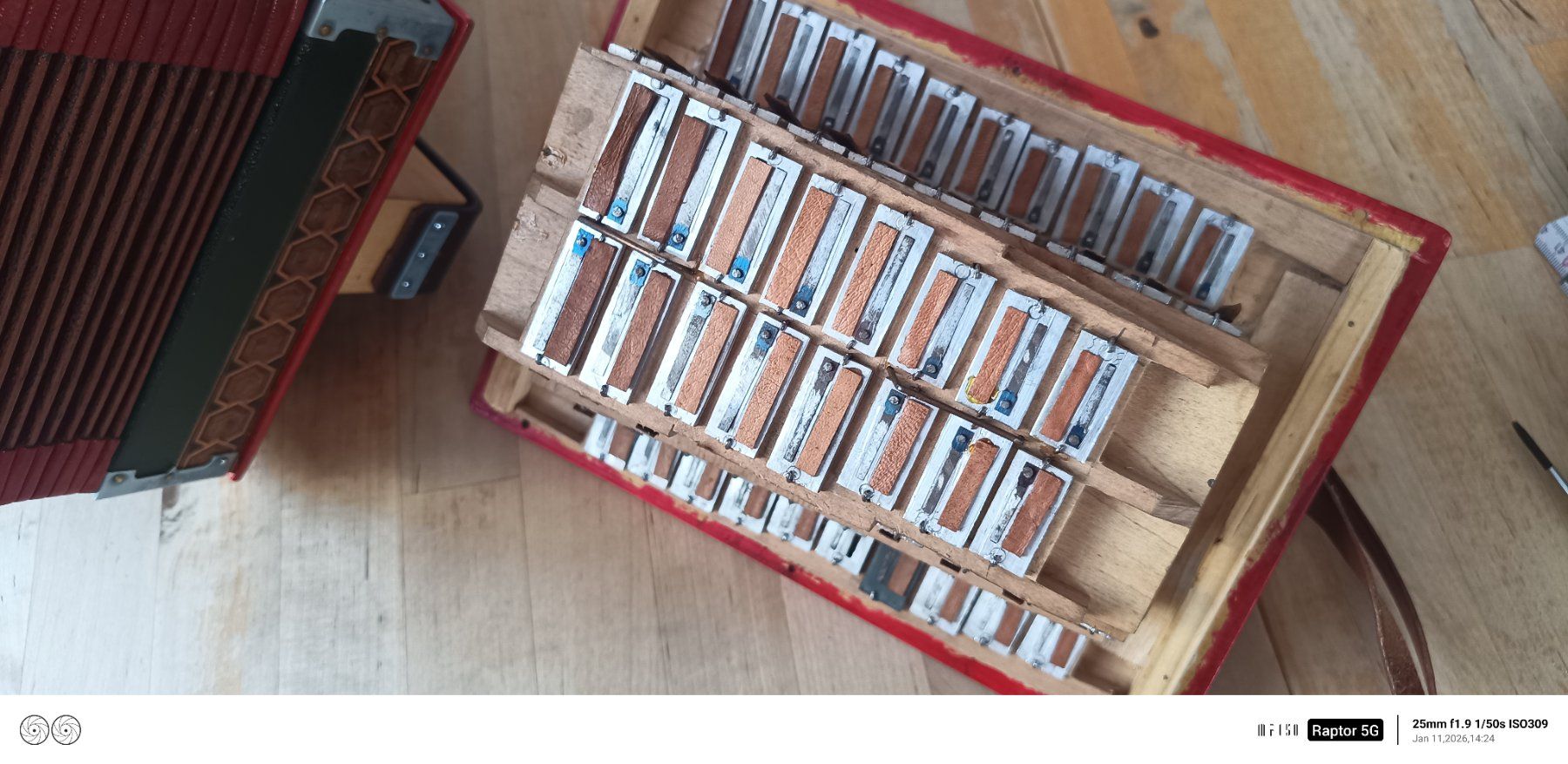 Strumenti musicali: Schwyzerörgeli Stöpsel 10 Bass, Eichhorn – Usato da St.Gallenkappel venduto da qwertzuiop12345 7