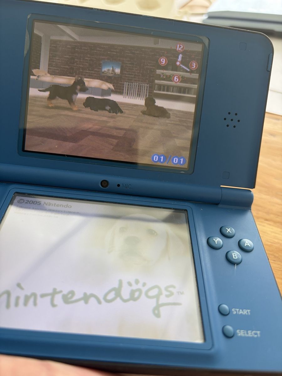 Nintendo Console: Nintendo DS XL 2008 – Usato da Echallens venduto da JAR69 4