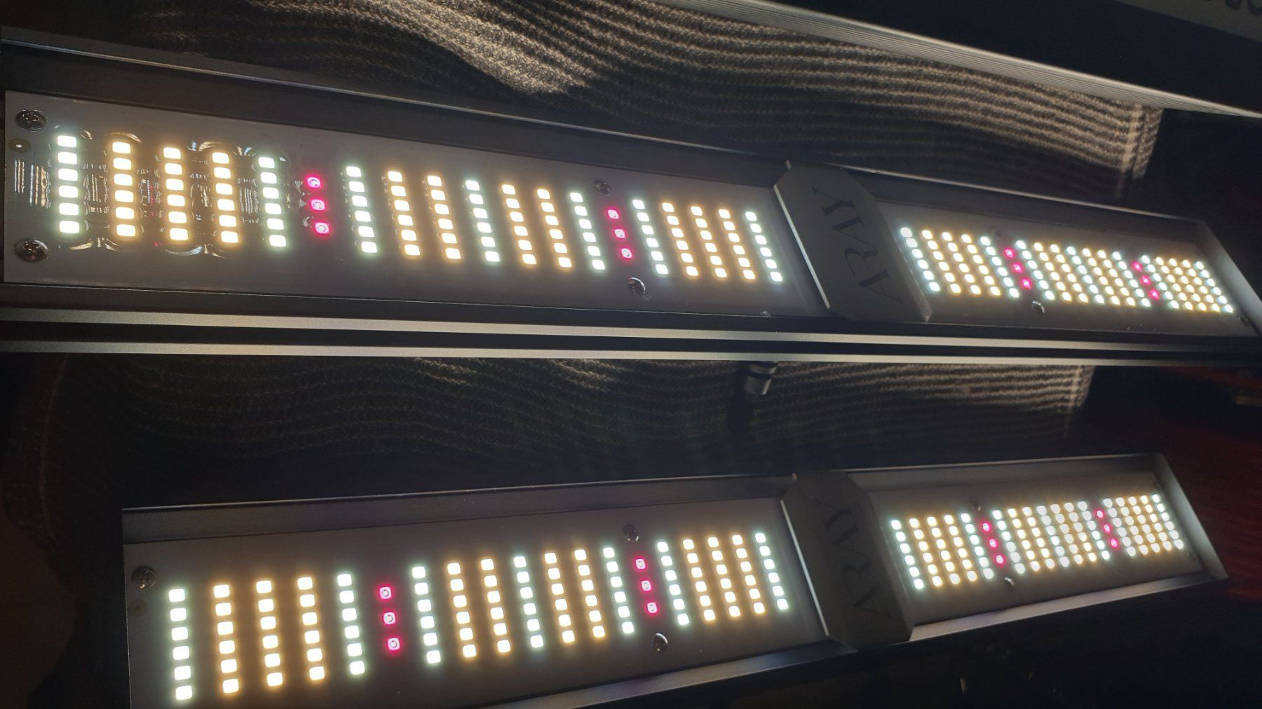 Lampade: Migro Aray 2 LED Grow Light – Nuovo (secondo la descrizione) da Wolfhalden venduto da tmr_gt5k 5