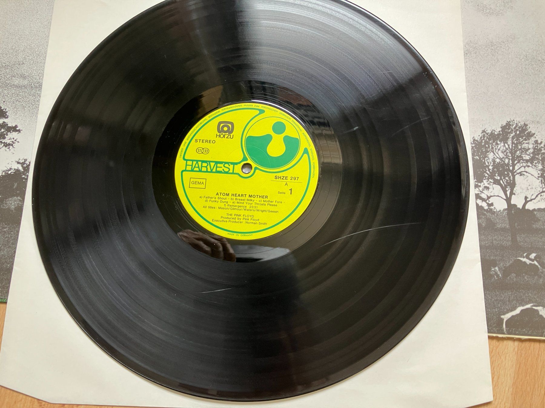 Dischi in vinile: Pink Floyd – Usato da Aarwangen venduto da Jukebox3 6