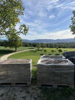 Beton Verbundsteine