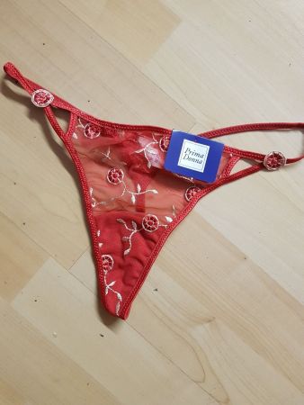 String Prima Donna 38