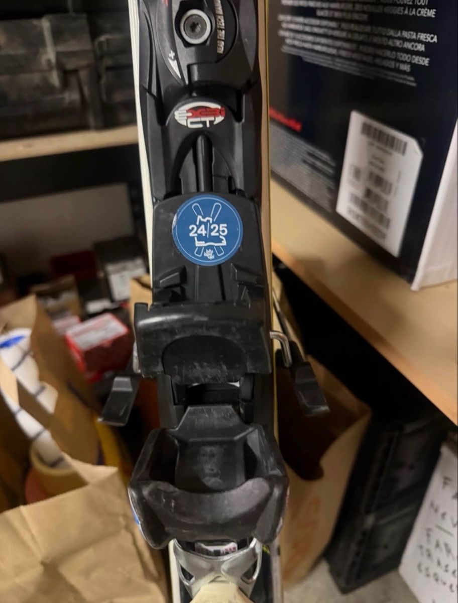 Skis: Skis – Gebraucht aus Kerzers von tia_2snz 6