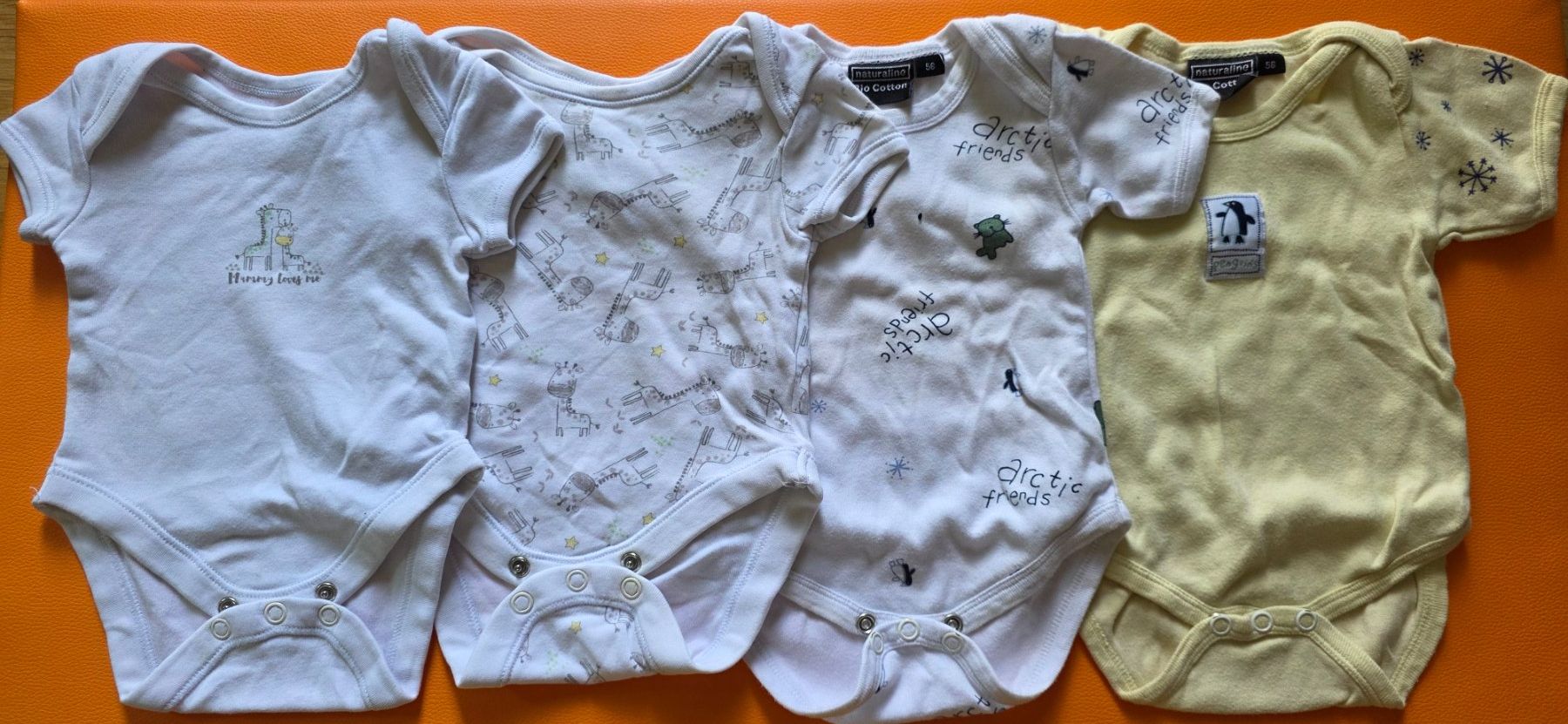 Lotti & Set di vestiti: Baby body 56 – Usato da Fällanden venduto da sza_mwx8