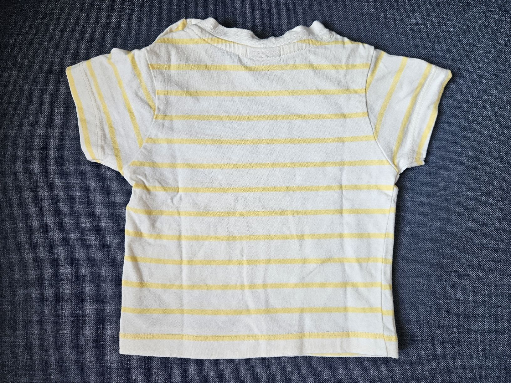 Camicie, Top & T-shirt: T-Shirt Gr. 62/68 – Nuovo (secondo la descrizione) da Worb venduto da jun_fj8w 1