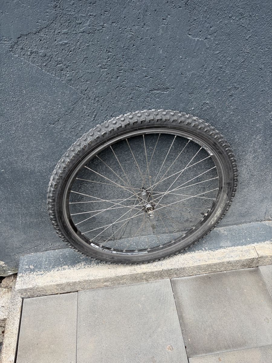Pneumatici & Ruote complete: MTB Rad Vorderrad 26x1.95 – Usato da Haslen GL venduto da rischko