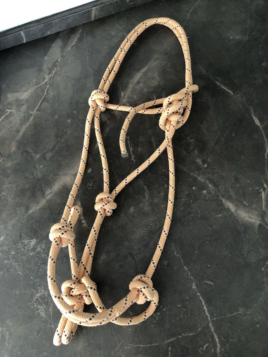 Briglie & Cavezze: Knotenhalfter COB / altrosa – Nuovo (secondo la descrizione) da Villarepos venduto da Cairo44444