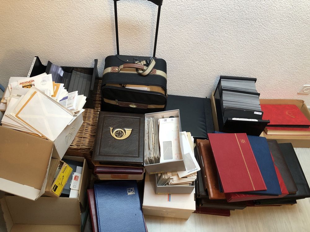 A-54 Grosshandel Set 12 Stck. Schwarz Sammlung Schicker Cocktail Kostüm