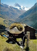 LA SAGNE Val d'Hérens - Mautier mit Heu