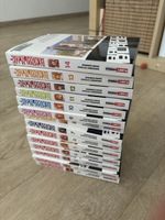 Manga Bamboo Blade serie completa 