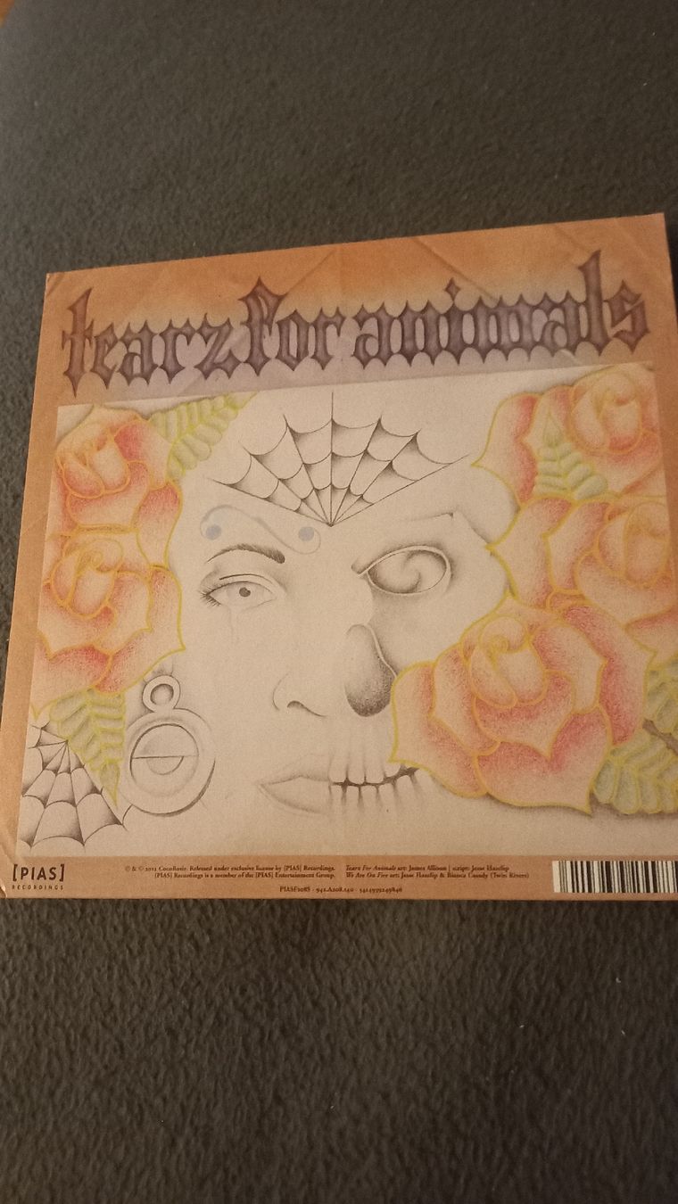 Dischi in vinile: Coco rosie "We Are On Fire" Vinyl Single – Usato da Olten venduto da Donatello1984 1
