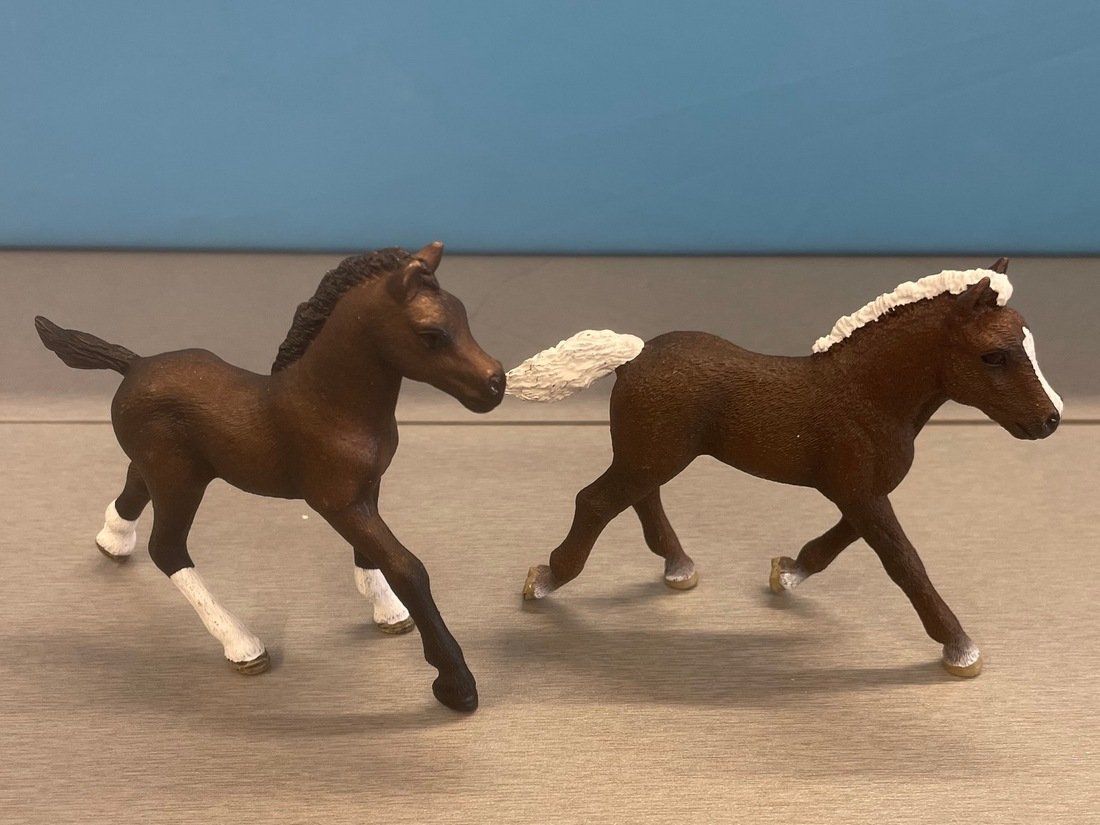 Schleich Giocattoli: Schleich 2 Pferdefohlen – Usato da Sirnach venduto da sagrotin